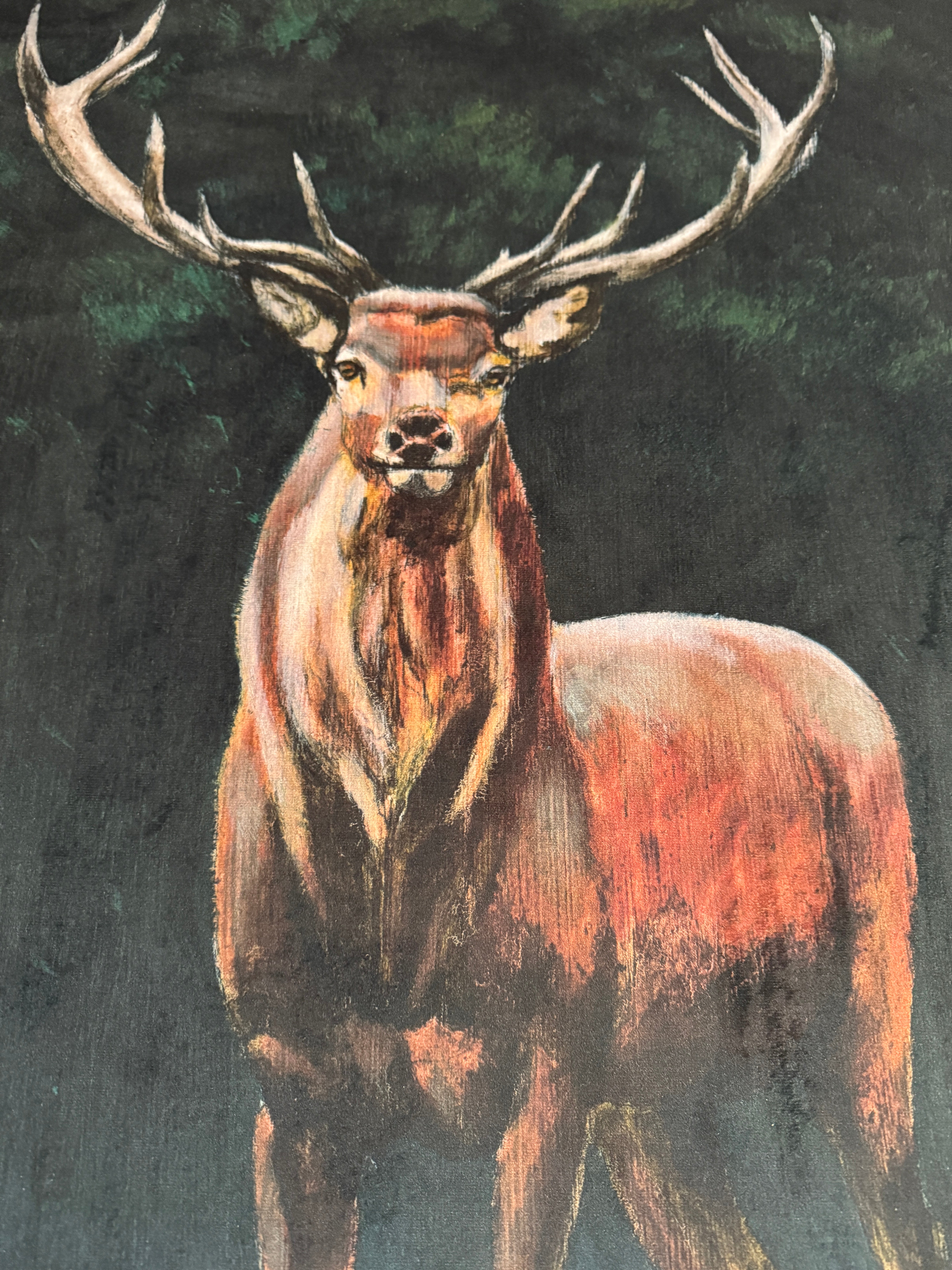 XL Forest Stag framed velvet touch wall art 75 x 115cm