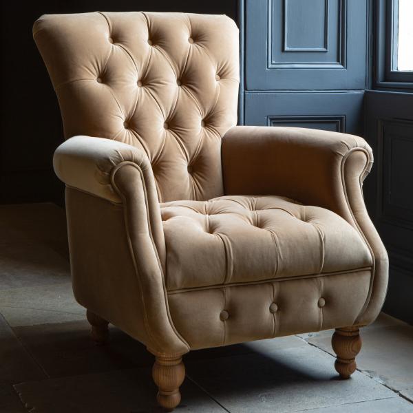 Donegal high back accent chair in Butterscotch velvet