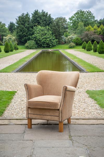 Adam small accent chair in Butterscotch velvet