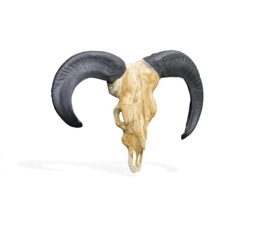 Vegan Hunting Trophy - Rams Head with Black Horns wall mounted sculpture